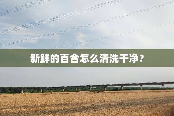 新鲜的百合怎么清洗干净？