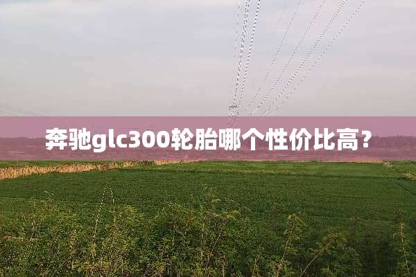 奔驰glc300轮胎哪个性价比高？