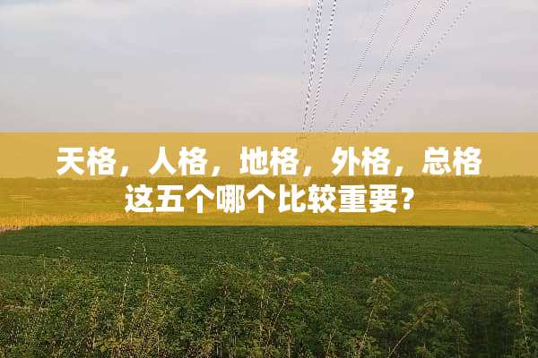 天格，人格，地格，外格，总格这五个哪个比较重要？