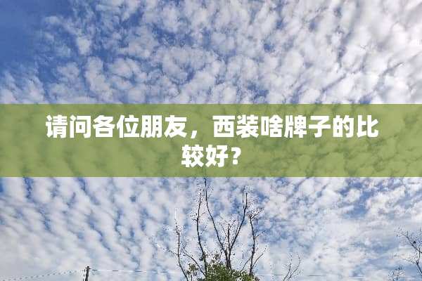 请问各位朋友，西装啥牌子的比较好？
