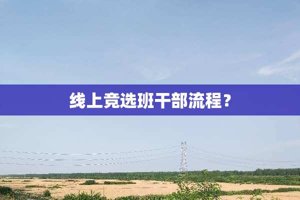 线上竞选班干部流程？