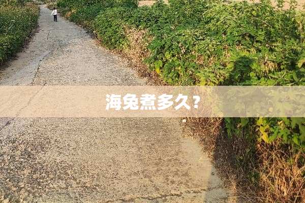 海兔煮多久？