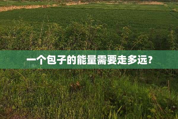 一个包子的能量需要走多远？
