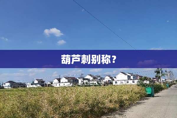 葫芦刺别称？