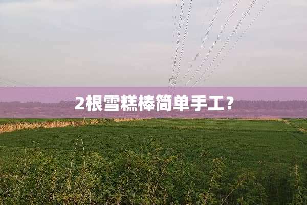 2根雪糕棒简单手工？