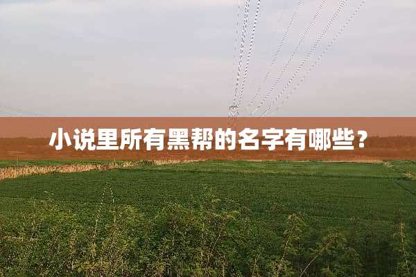 小说里所有黑帮的名字有哪些？