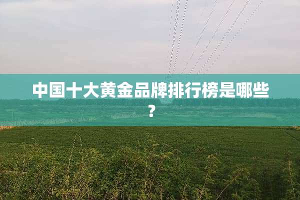 中国十大黄金品牌排行榜是哪些？