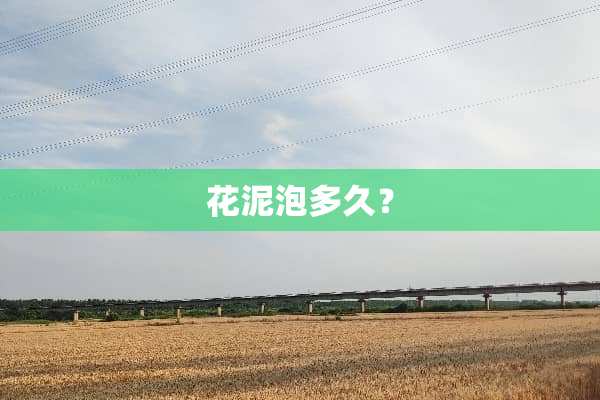 花泥泡多久？