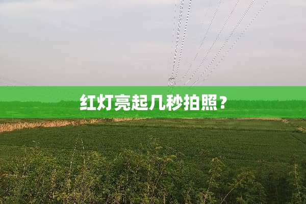 红灯亮起几秒拍照？