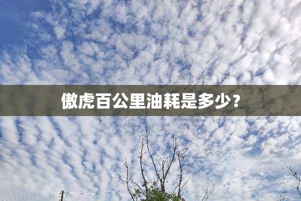 傲虎百公里油耗是多少？