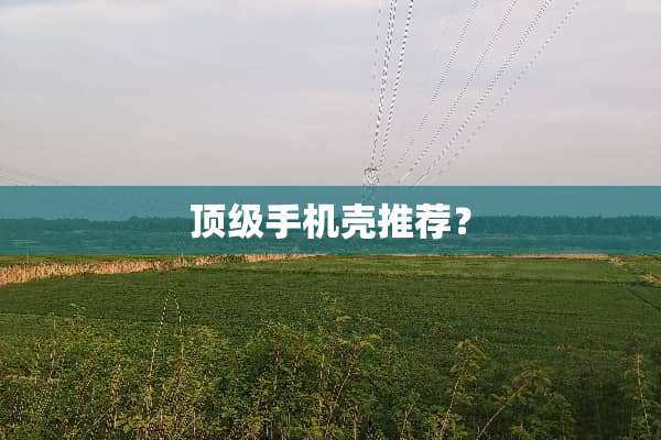 **手机壳推荐？