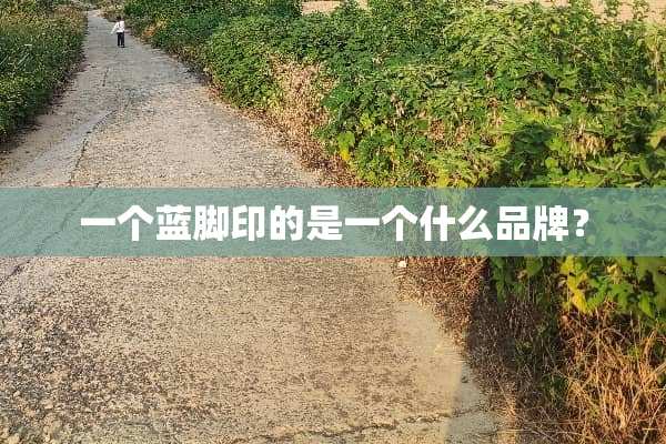 一个蓝脚印的是一个什么品牌？