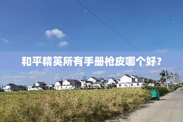 和平精英所有手册*皮哪个好？