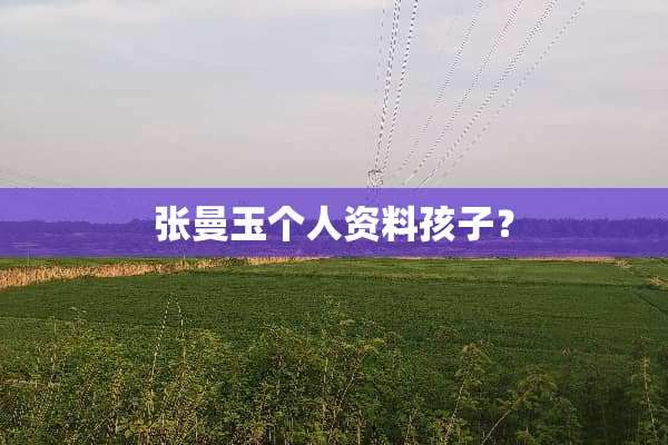 张曼玉个人资料孩子？