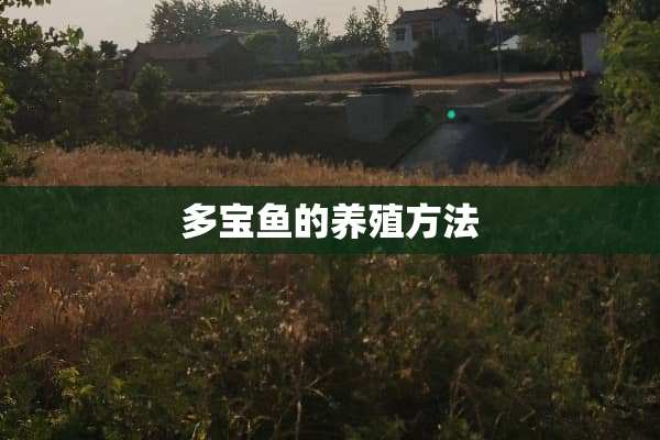 多宝鱼的养殖方法