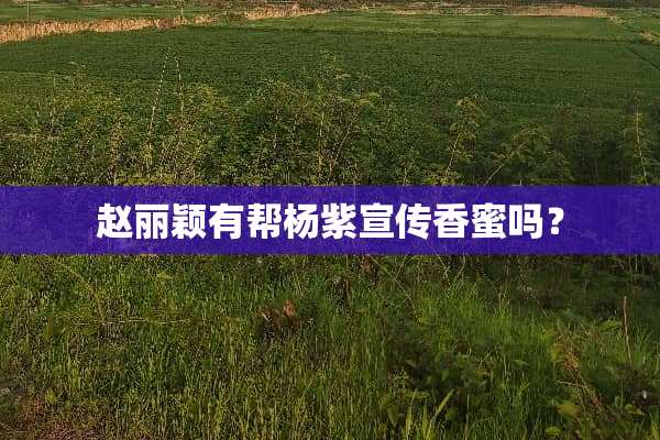 赵丽颖有帮杨紫宣传香蜜吗？