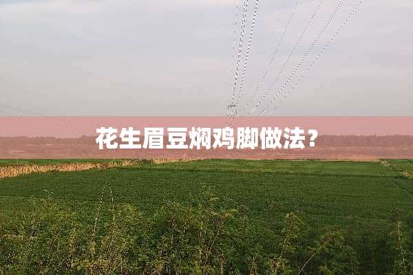 花生眉豆焖鸡脚做法？