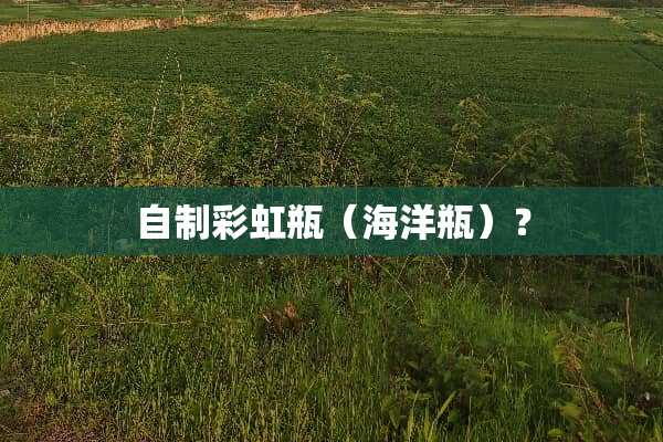 自制彩虹瓶（海洋瓶）？