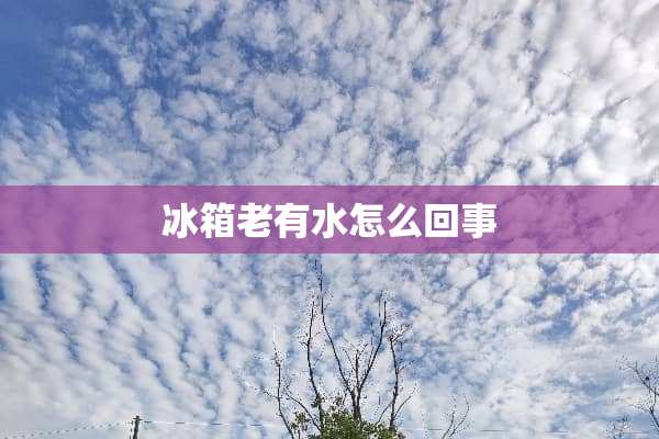 冰箱老有水怎么回事