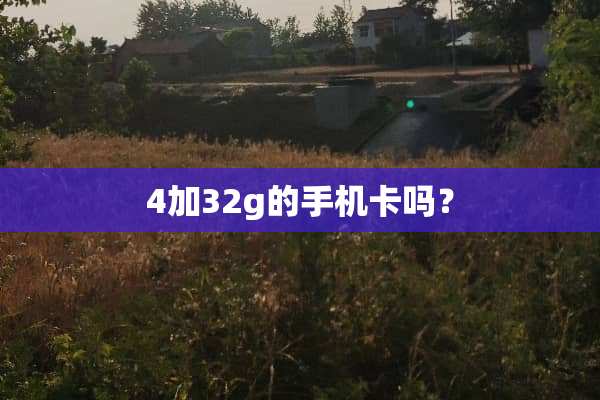4加32g的手机卡吗？
