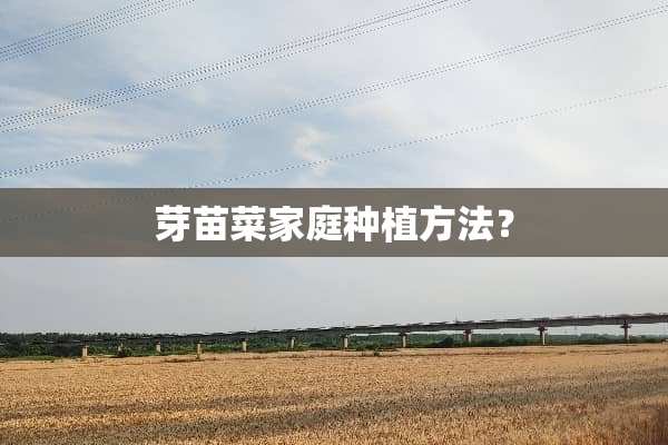 芽苗菜家庭种植方法？