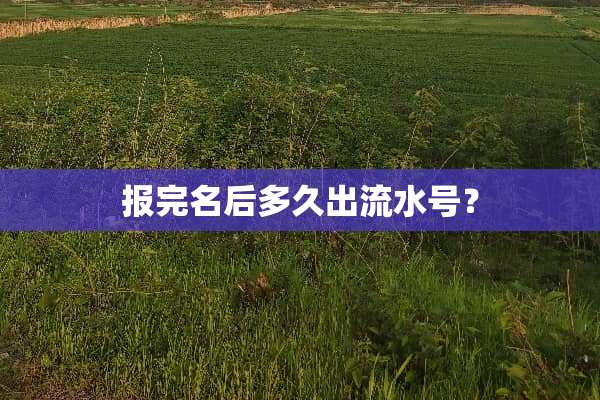 报完名后多久出流水号？