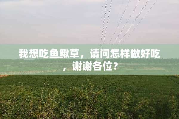 我想吃鱼鳅草，请问怎样做好吃，谢谢各位？