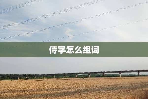 侍字怎么组词