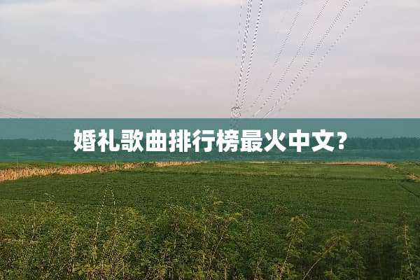 婚礼歌曲排行榜最火中文？