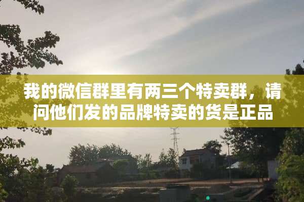 我的微信群里有两三个特卖群，请问他们发的品牌特卖的货是正品吗？