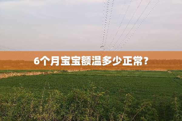 6个月宝宝额温多少正常？
