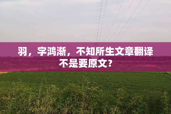 羽，字鸿渐，不知所生文章翻译不是要原文？