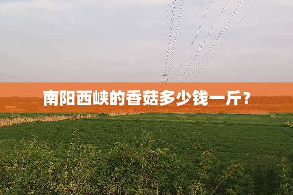 南阳西峡的香菇多少钱一斤？