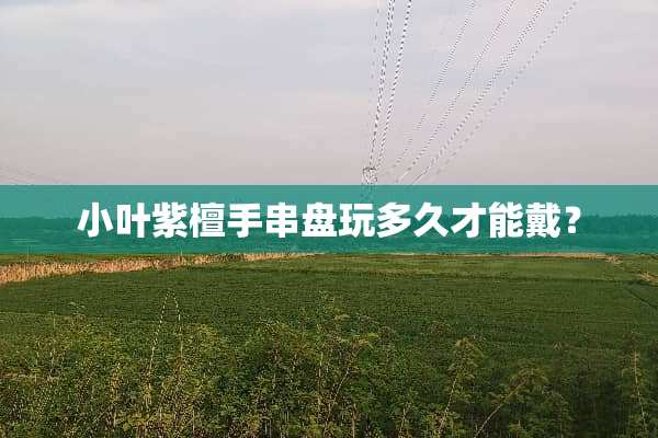 小叶紫檀手串盘玩多久才能戴？