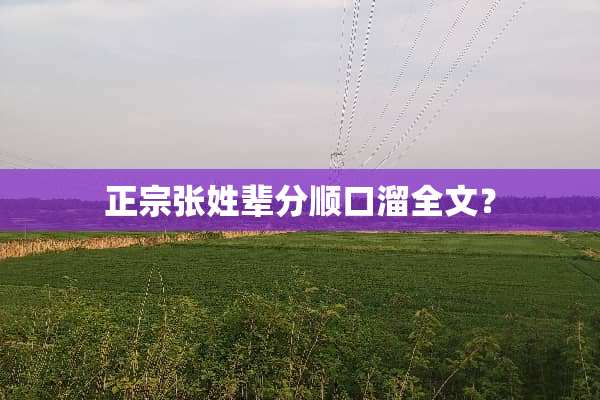 正宗张姓辈分顺口溜全文？
