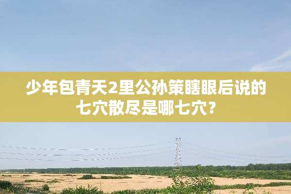 少年包青天2里公孙策瞎眼后说的七*散尽是哪七*？