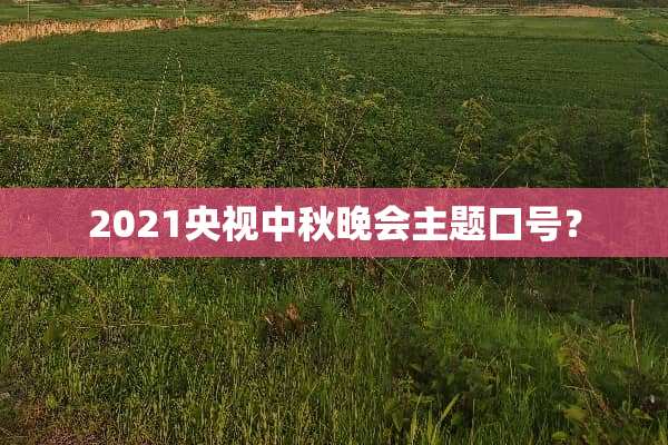 2021央视中秋晚会主题口号？