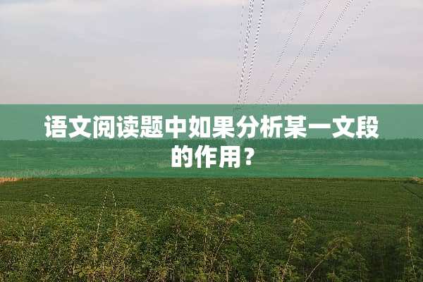 语文阅读题中如果分析某一文段的作用？