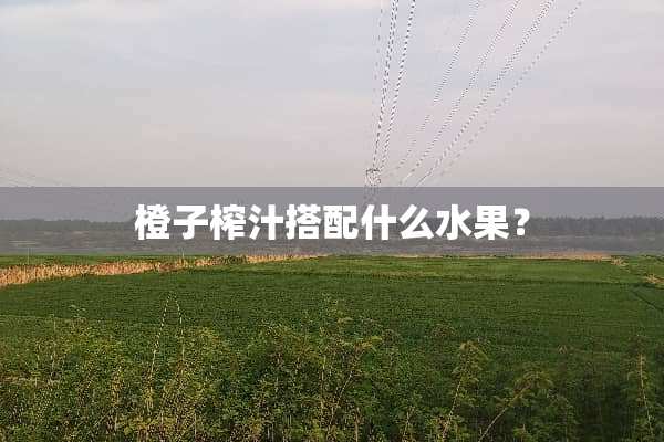 橙子榨汁搭配什么水果？