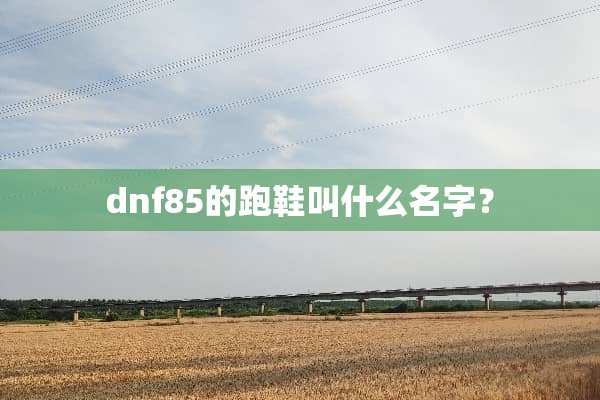 dnf85的跑鞋叫什么名字？