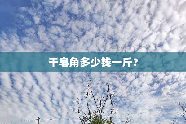 干皂角多少钱一斤？