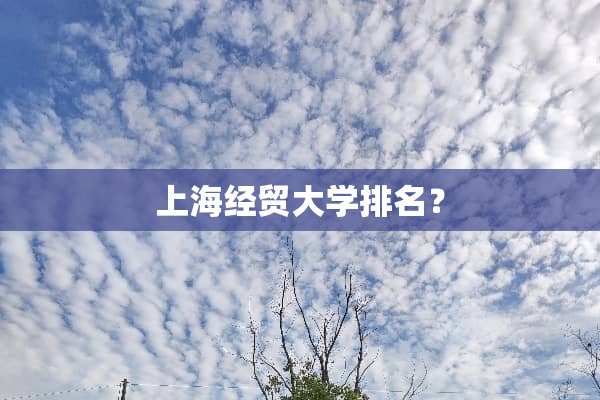 上海经贸大学排名？