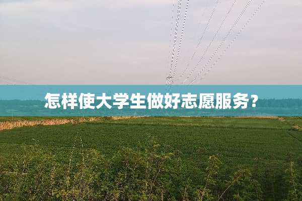 怎样使大学生做好志愿服务？