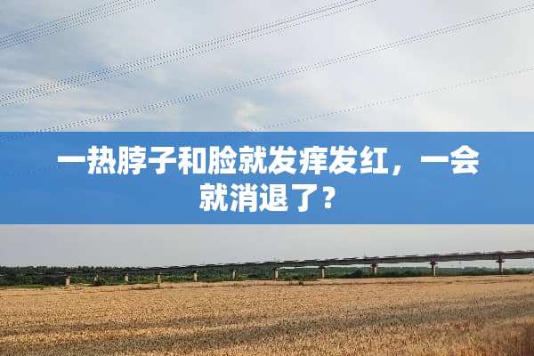 一热脖子和脸就发痒发红，一会就消退了？