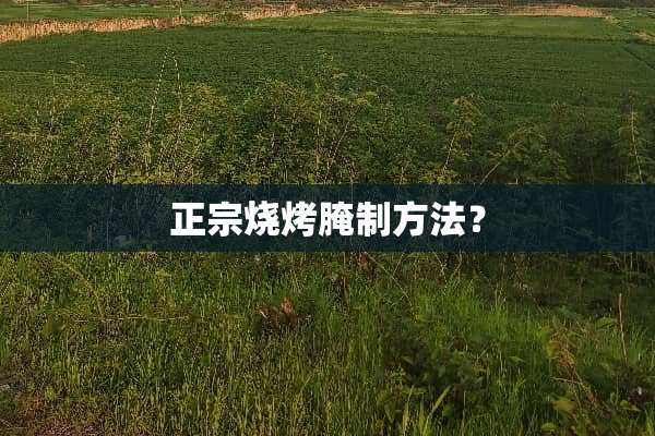 正宗烧烤腌制方法？
