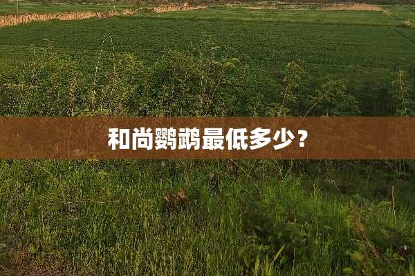 和尚鹦鹉最低多少？