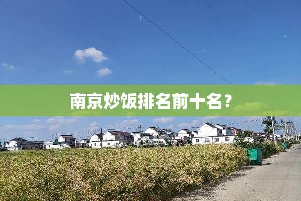 南京炒饭排名前十名？