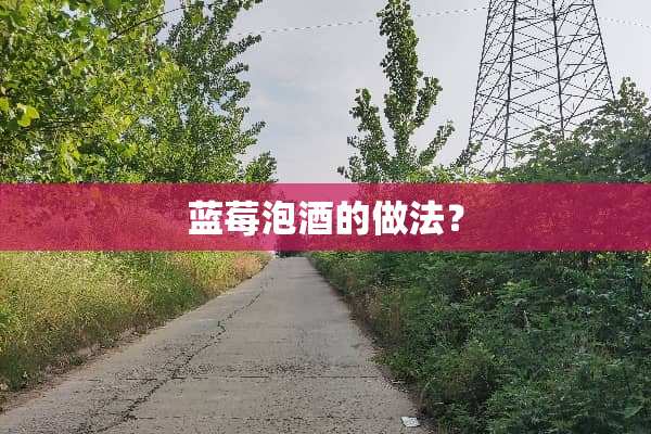 蓝莓泡酒的做法？