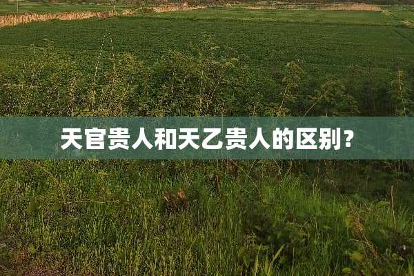 天官贵人和天乙贵人的区别？