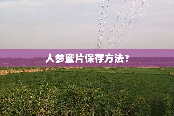 人参蜜片保存方法？